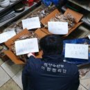 대게플러스 이미지