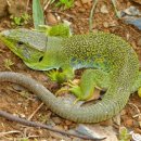 보석농장 이미지