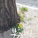 어린이 바른 글씨 교실 | [공지] [모집] 엘림창작소 어린이 캘리그라피 &amp; 수묵체험반 "우리 아이 감성 글씨 교실"