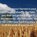 Prayer of the day_251208 이미지