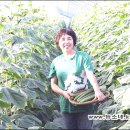 김진오농장 이미지