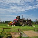 정자그린카 이미지