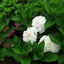 통영등대낚시공원 이미지