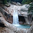 송이용소 이미지