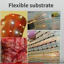 낯익은 생활소재의 재발견 이미지