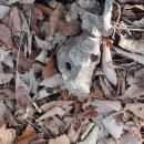 금산복곡1주차장 이미지