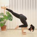 웰빙요가(입문) 이미지