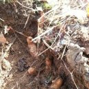 천마식당 이미지