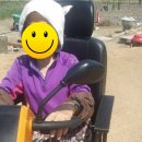 광양전동차 이미지