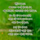 좋은인연 이미지