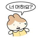 우쥬라이크 네이버블로그