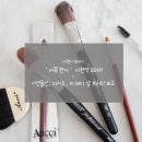 서현물산 | [브러쉬 추천] '서쪽 현자' 서현역 브러쉬 후기+이연물산, 다이소, 더 바디샵 브러쉬 비교