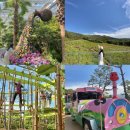 허브밸리(전망대) 이미지