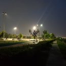 은머리방