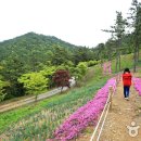 완도 고금도 지석묘군 이미지