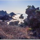 애월한담해안산책로 이미지