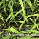 북아현로14길 티스토리