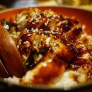 미락장어 이미지