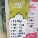 올가스킨 헤어