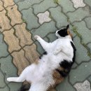 예가애드 | 6월 어느 날•••