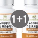 그린메이드 이미지