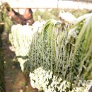 오산농원영농조합법인 이미지