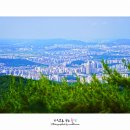 명산농원