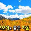 첼로, 오보에 가을 클래식 14곡 이미지