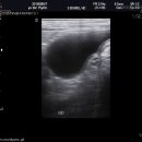 강동24시SKY 동물병원 이미지