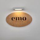 이엠오(EMO)