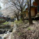 양주산막골캠핑장 이미지