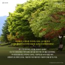 허밍(HUMMING) 이미지