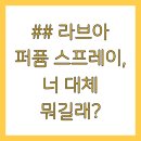 올리브영 라브아 퍼퓸 스프레이 튤립 후기