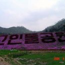 화순도암중학교 이미지