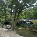 팔현리163 이미지