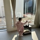 스테이더담 백학 이미지