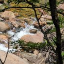 신성식당 이미지