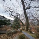 연지한정식 이미지