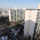 강남-187 이미지