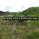 성주전원주택지 대가면 2차선접 1100평 계획관리[성주토지05]성주군부동산 이미지