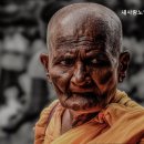 새사랑요양센터 이미지