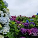 선사농원 이미지