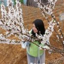 협성농장 이미지