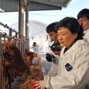 경선농장 이미지