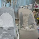 헬로 | 내돈내산 육아필수템 바운서 사용후기 비교(헬로디노vs베이비뵨)