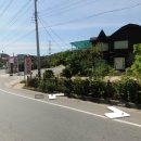 권현숙의 미사리 팔당냉면 란주 도삭면 Daum카페