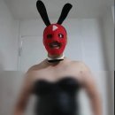 바니걸