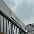 군자역 새치커버 염색 라청담미용실 방문 후기