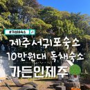별천지가든펜션민박 | 제주서귀포독채펜션 가든인제주 10만원대 숙소 솔직후기