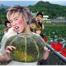 성민농장 이미지